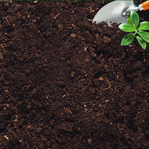 Fertilizing